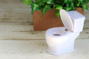 トイレトレーニングからオムツ外れまでを振り返ってみた