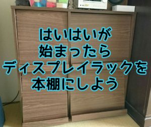 はいはいが始まったら扉付きディスプレイラックの本棚がおすすめ