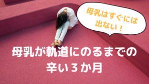 母乳はすぐに出ない！軌道にのるまで３か月かかって辛かった話