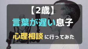 2歳言葉が遅い息子…区の心理相談に行って療育の必要はなし